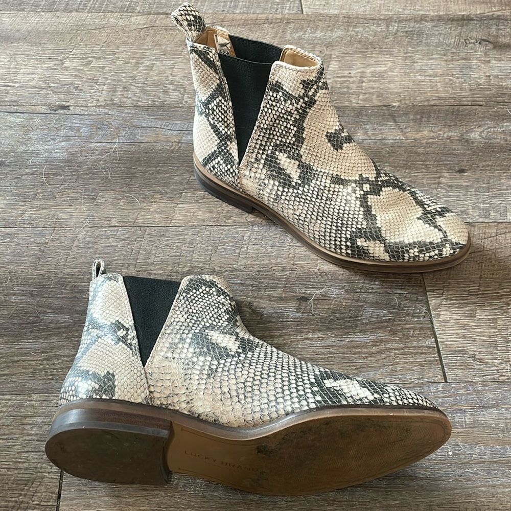 Lucky brand leather snake print ankle boots booties